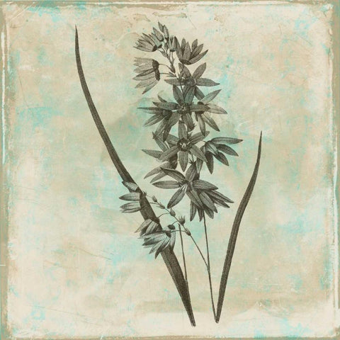 Earthy floral 3 White Modern Wood Framed Art Print by Grey, Jace