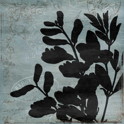 Floral Black Mate Black Modern Wood Framed Art Print by Grey, Jace