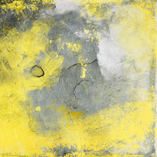 Image Only