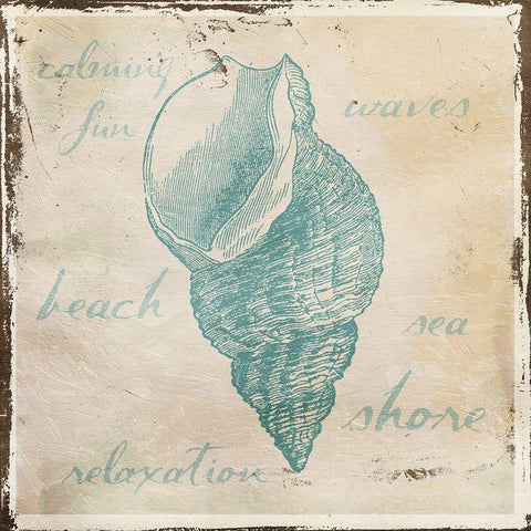 Stamped Shell Black Modern Wood Framed Art Print with Double Matting by Grey, Jace