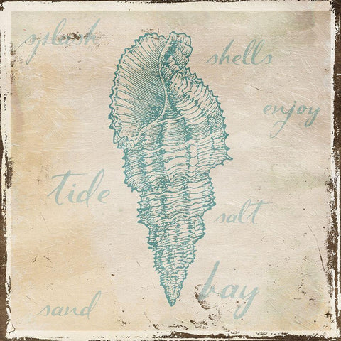 Stamped Shell Mate White Modern Wood Framed Art Print with Double Matting by Grey, Jace