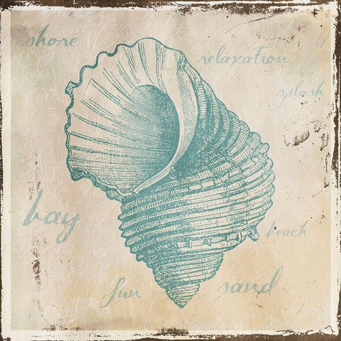 Stamped Shell Four White Modern Wood Framed Art Print by Grey, Jace