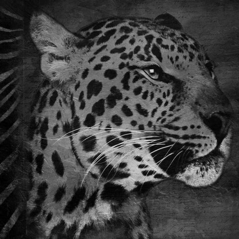 Animal Instincts Black And White Mate Black Modern Wood Framed Art Print with Double Matting by Grey, Jace