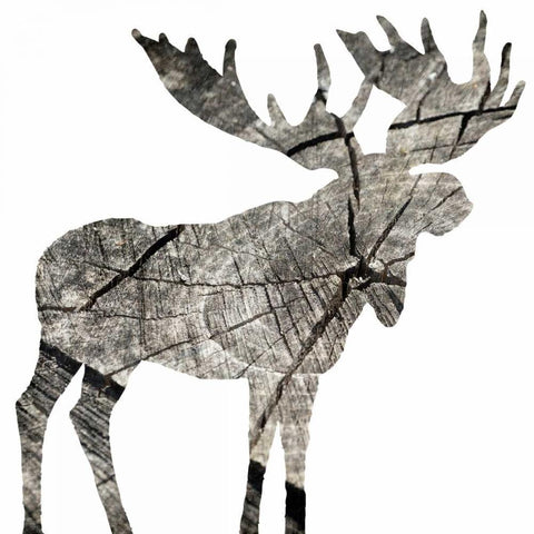 Wood Moose White White Modern Wood Framed Art Print by Grey, Jace