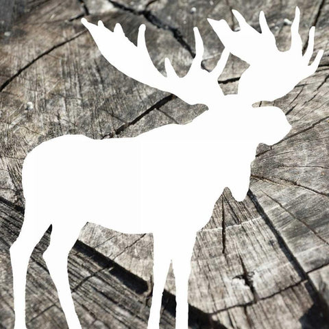 Wood Moose Reverse White Modern Wood Framed Art Print with Double Matting by Grey, Jace