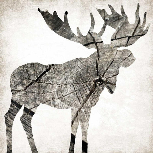 Image Only