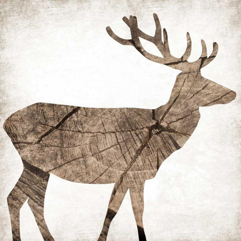 Brown Wood Deer White Modern Wood Framed Art Print with Double Matting by Grey, Jace