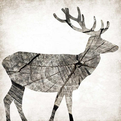 Wood Deer White Modern Wood Framed Art Print with Double Matting by Grey, Jace