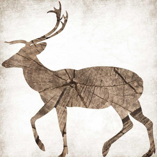 Image Only