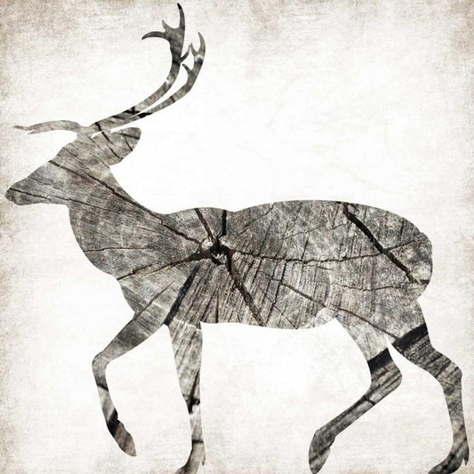 Image Only