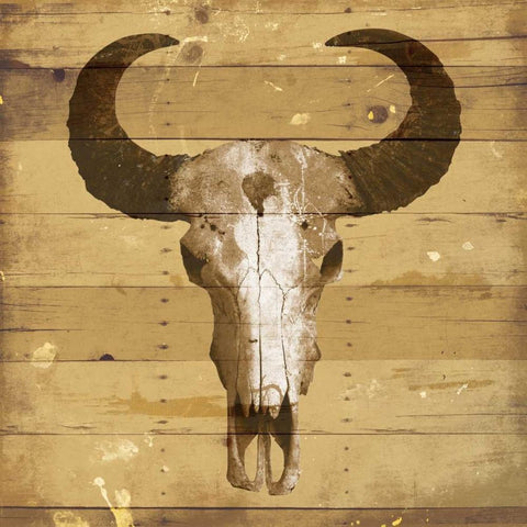 Rustic Bull Black Modern Wood Framed Art Print with Double Matting by Grey, Jace