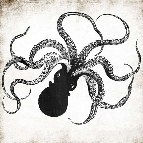 Octopus Ink White Modern Wood Framed Art Print with Double Matting by Grey, Jace