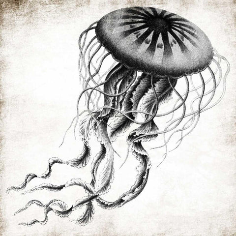 Jellyfish Ink White Modern Wood Framed Art Print with Double Matting by Grey, Jace