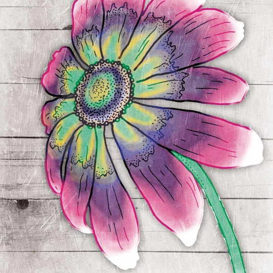 Image Only