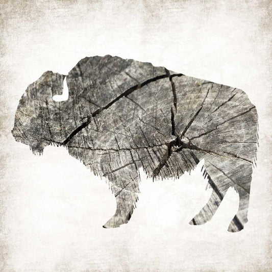 Image Only