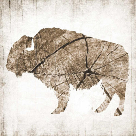 Buffalo Rings Gold Ornate Wood Framed Art Print with Double Matting by Grey, Jace