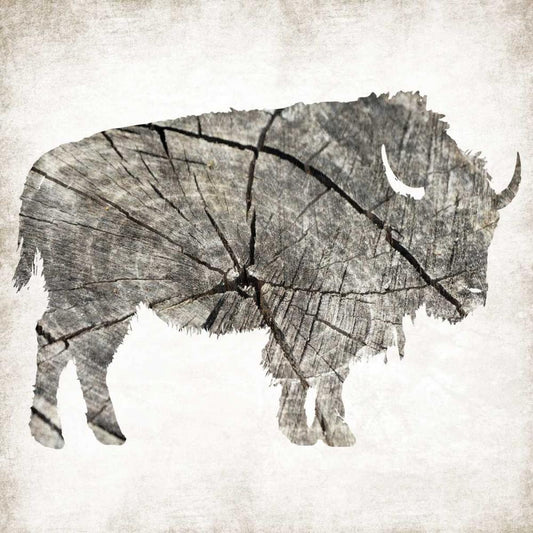 Image Only