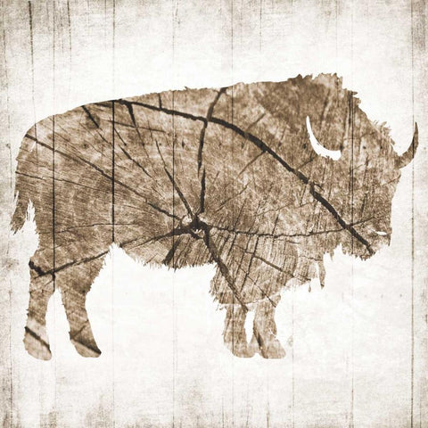 Buffalo Rings White Modern Wood Framed Art Print by Grey, Jace