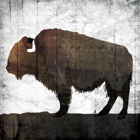 Aged Buffalo White Modern Wood Framed Art Print by Grey, Jace