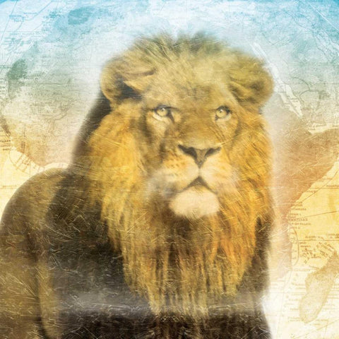 Africa Sunrise Two Black Ornate Wood Framed Art Print with Double Matting by Grey, Jace