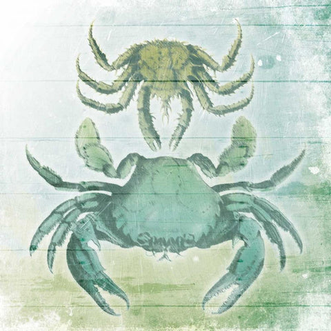 Sea Foam Crabs White Modern Wood Framed Art Print by Grey, Jace