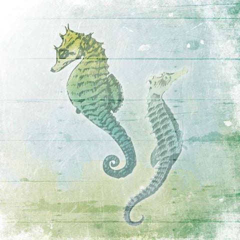 Sea Foam Seahorse Black Modern Wood Framed Art Print with Double Matting by Grey, Jace