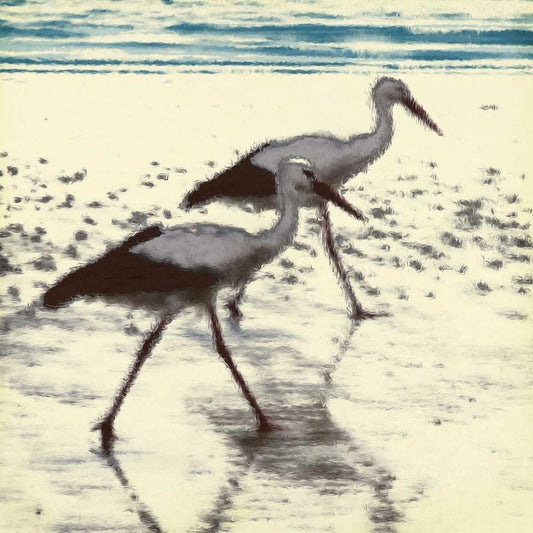 Image Only
