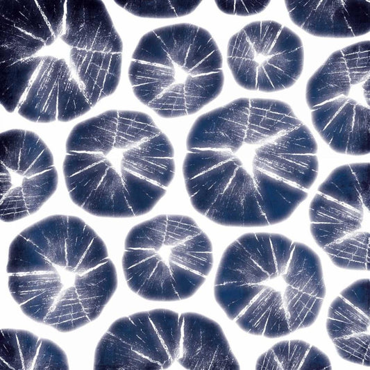 Image Only