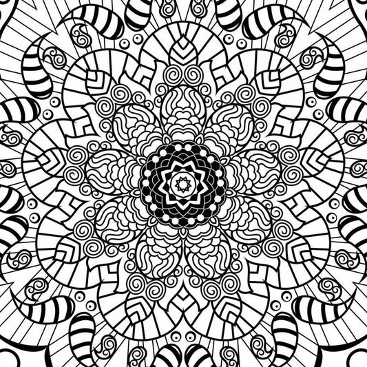 Image Only