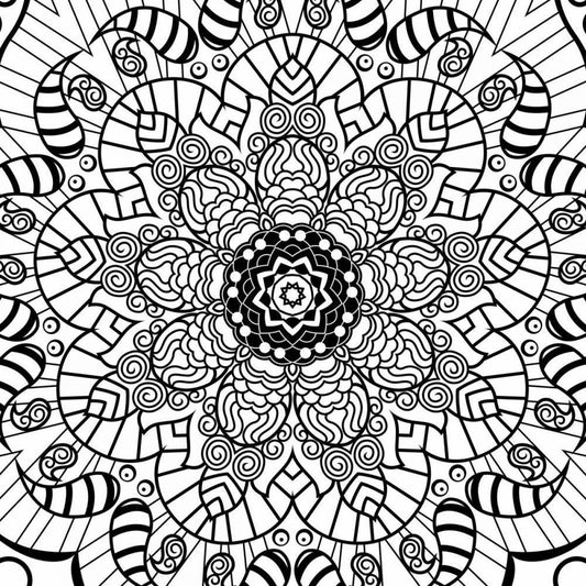 Image Only
