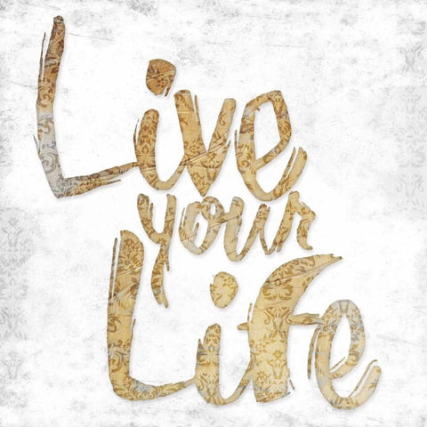 Live Your Life Black Ornate Wood Framed Art Print with Double Matting by Grey, Jace