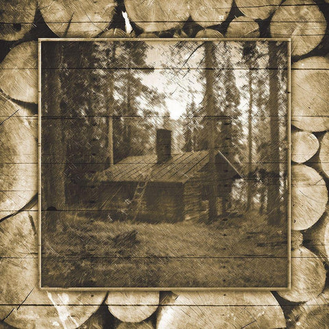 In The Woods Sepia Black Ornate Wood Framed Art Print with Double Matting by Grey, Jace