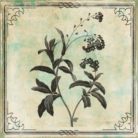 Bordered Stencil Floral Gold Ornate Wood Framed Art Print with Double Matting by Grey, Jace