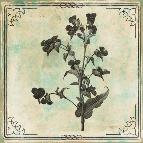 Bordered Stencil Floral Mate Black Ornate Wood Framed Art Print with Double Matting by Grey, Jace