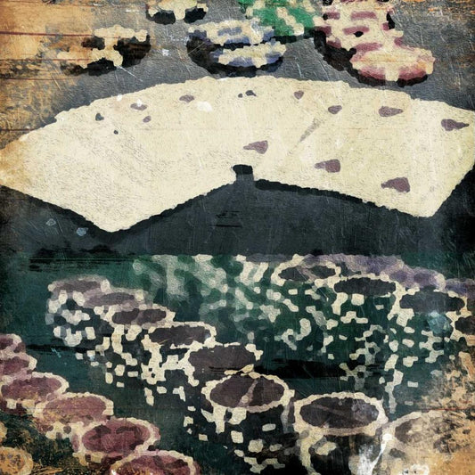 Image Only