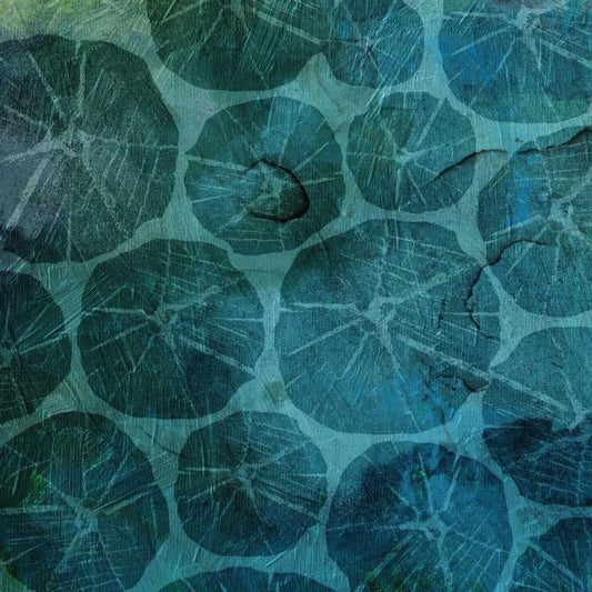 Image Only
