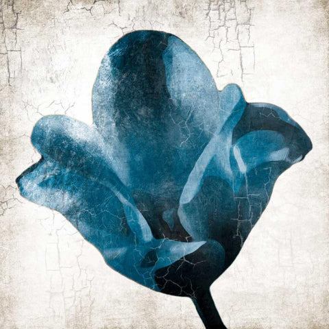 Aging Blues Black Ornate Wood Framed Art Print with Double Matting by Grey, Jace