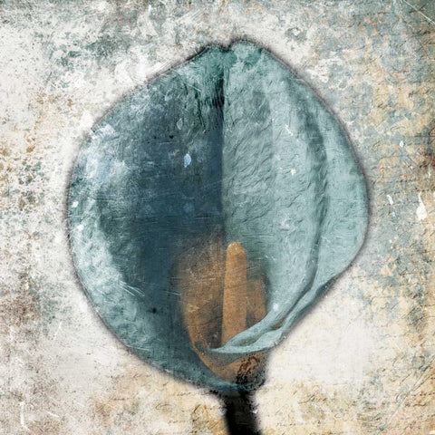 Hazy Grey Blue Black Ornate Wood Framed Art Print with Double Matting by Grey, Jace