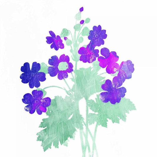 Image Only