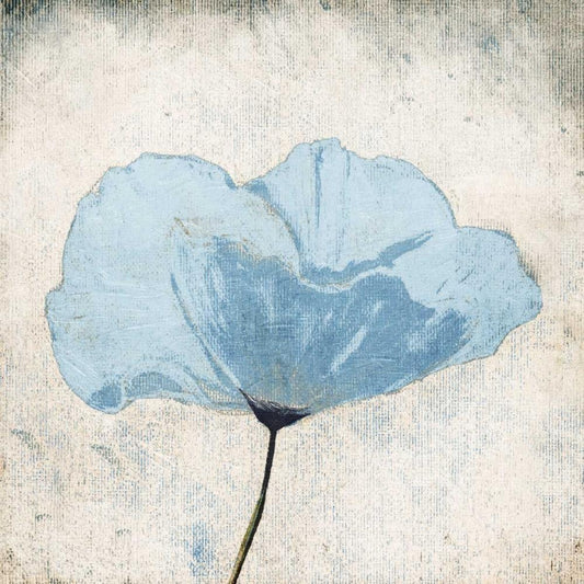 Image Only