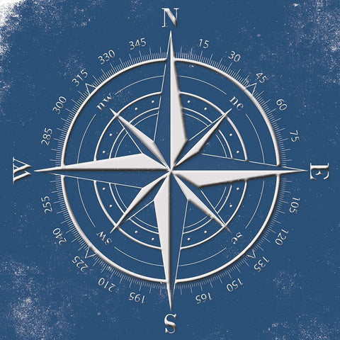 Coastal Pop Compass Black Ornate Wood Framed Art Print with Double Matting by Grey, Jace