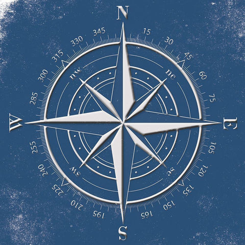 Coastal Pop Compass Gold Ornate Wood Framed Art Print with Double Matting by Grey, Jace