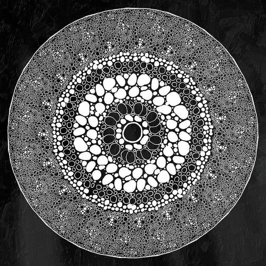 Image Only