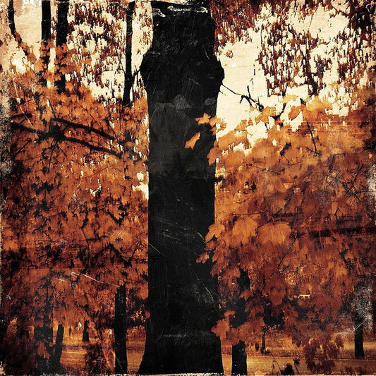 Image Only