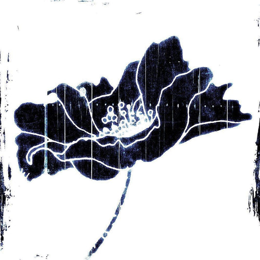 Image Only