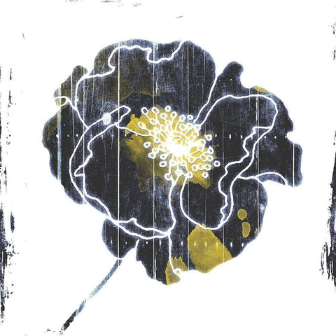 Flower With Blue Yellow Mate Black Modern Wood Framed Art Print with Double Matting by Grey, Jave