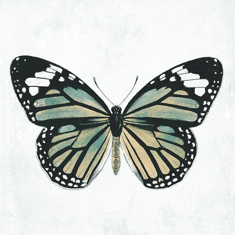 Neutral Butterfly Black Modern Wood Framed Art Print by Grey, Jace