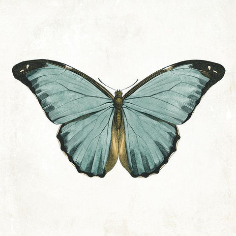 Neutral Butterfly 4 Black Modern Wood Framed Art Print by Grey, Jace