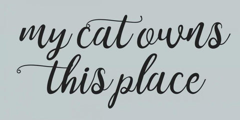 Cat Owns White Modern Wood Framed Art Print with Double Matting by Matic,Jelena