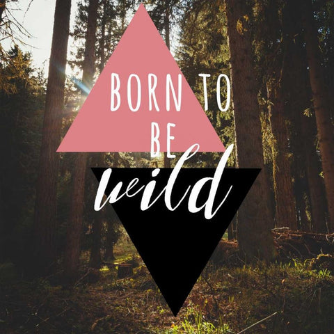Born to be Wild 2 Black Ornate Wood Framed Art Print with Double Matting by Matic,Jelena